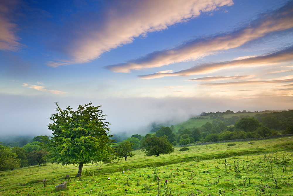 Mist approaches the sloped fields and woodland above the Usk Valley near Llangynidr, Brecon Beacons, Powys, Wales, United Kingdom, Europe