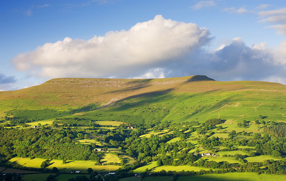 Rolling fields below Pen Cerrig-calch mountain, Brecon Beacons National Park, Powys, Wales, United Kingdom, Europe