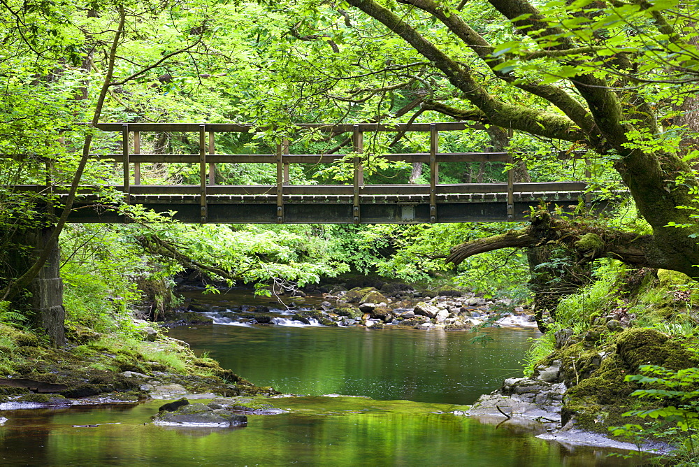 Footbridge over the Nedd Fechan River, Brecon Beacons National Park, Powys, Wales, United Kingdom, Europe