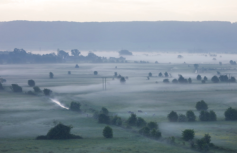 Mist shrouded fields at dawn on the Somerset Levels near Burrowbridge, Somerset, England, United Kingdom, Europe