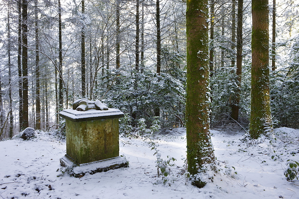 Memorial in Morchard Bishop Wood after a heavy snowfall, Devon, England, United Kingdom, Europe