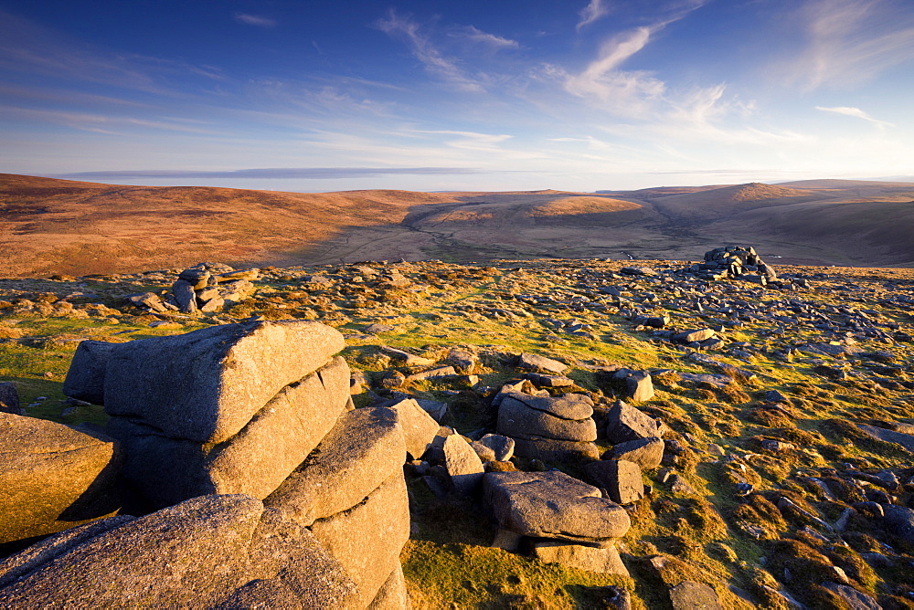 Late evening golden sunlight at Higher Tor on Belstone Common, Dartmoor National Park, Devon, England, United Kingdom, Europe