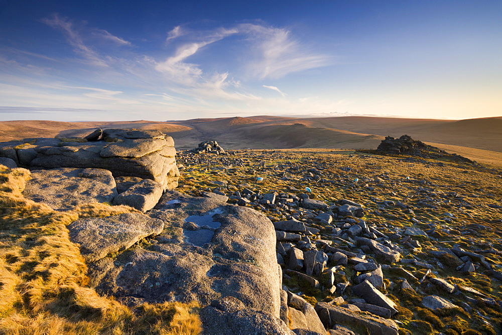 Late evening golden sunlight at Higher Tor on Belstone Common, Dartmoor National Park, Devon, England, United Kingdom, Europe