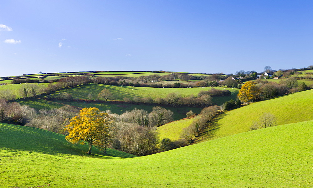 Rolling countryside of Exmoor National Park, Somerset, England, United Kingdom, Europe