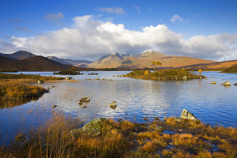 Lochan na h-Achlaise on Rannoch Moor, Highland, Scotland, United Kingdom, Europe