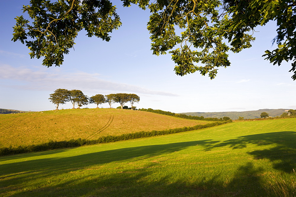 Summertime Exmoor countryside scene between the villages of Horner and Luccombe, Exmoor National Park, Somerset, England, United Kingdom, Europe