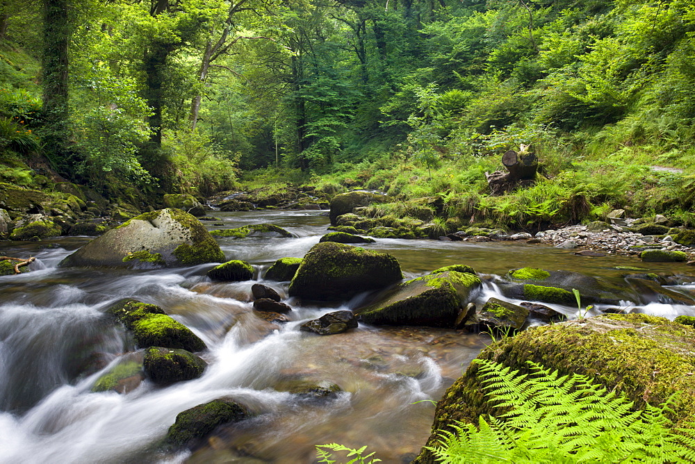 East Lyn River at Watersmeet, Exmoor National Park, Devon, England, United Kingdom, Europe