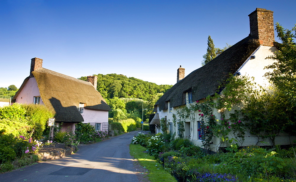 Thatched cottages in the medieval village of Dunster, Exmoor National Park, Somerset, England, United Kingdom, Europe