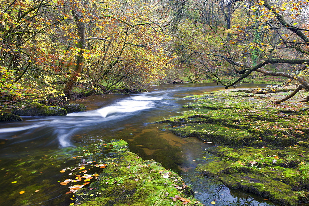 Autumn scenery by the Nedd Fechan River near Ystradfellte, Brecon Beacons National Park, Powys, Wales, United Kingdom, Europe