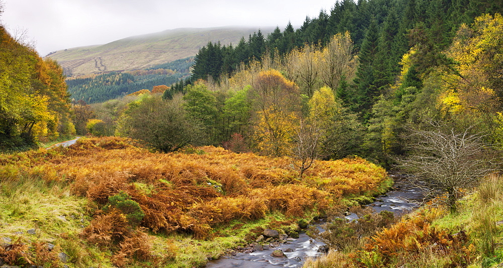 The River Caerfanell at Blaen-y-glyn, Brecon Beacons National Park, Powys, Wales, United Kingdom, Europe