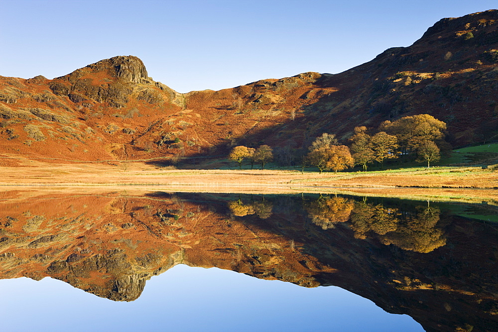 Morning light on the rugged slopes of Side Pike, reflected in Blea Tarn, Lake District National Park, Cumbria, England, United Kingdom, Europe