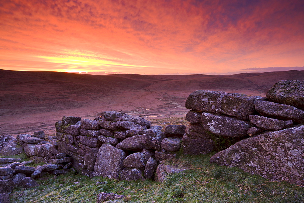 Spectacular sunrise over Dartmoor's moorland from Irishmans Wall on Belstone Common, Dartmoor National Park, Devon, England, United Kingdom, Europe