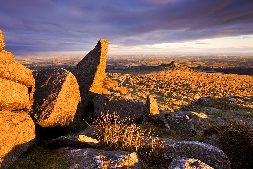 Golden sunshine glows against the granite outcrops at Belstone Tor, Dartmoor National Park, Devon, England, United Kingdom, Europe