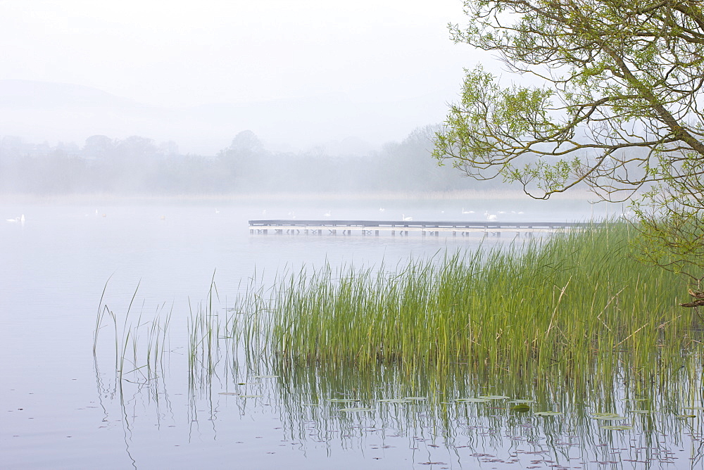 Early morning mist shrouds Llangorse Lake in the Brecon Beacons National Park, Powys, Wales, United Kingdom, Europe