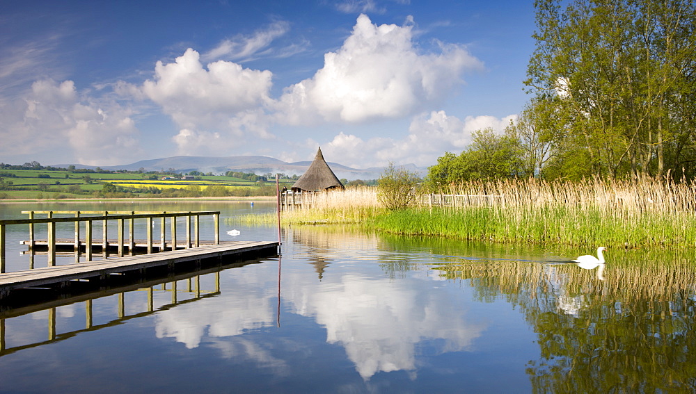 Tranquil morning on Llangorse Lake, with views to the Iron Age Crannog and Pen y Fan beyond, Brecon Beacons National Park, Powys, Wales, United Kingdom, Europe