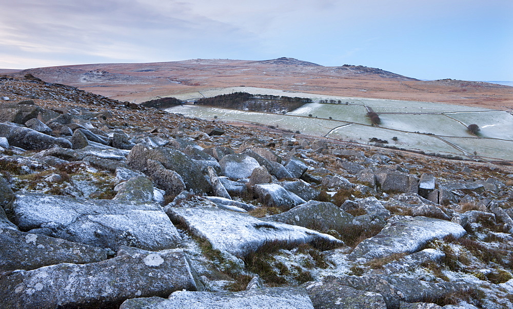 Yes Tor and High Willhays from the frosted granite rocks of Belstone Tor in winter, Dartmoor National Park, Devon, England, United Kingdom, Europe