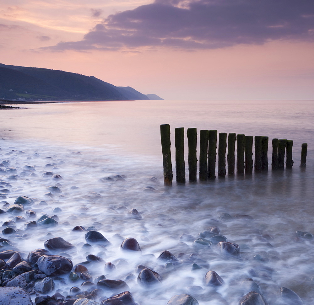 Wooden groynes on Bossington Beach at sunset, Exmoor National Park, Somerset, England, United Kingdom, Europe