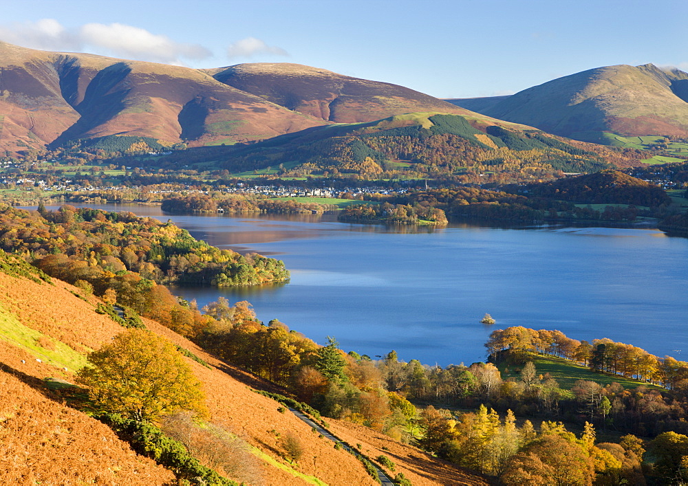 Derwent Water and Keswick from Catbells, Lake District National Park, Cumbria, England, United Kingdom, Europe