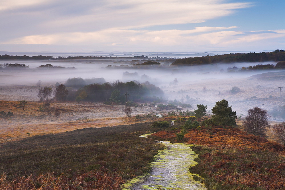 Mist hanging in the valleys as seen from Vereley Hill, New Forest, Hampshire, England, United Kingdom, Europe