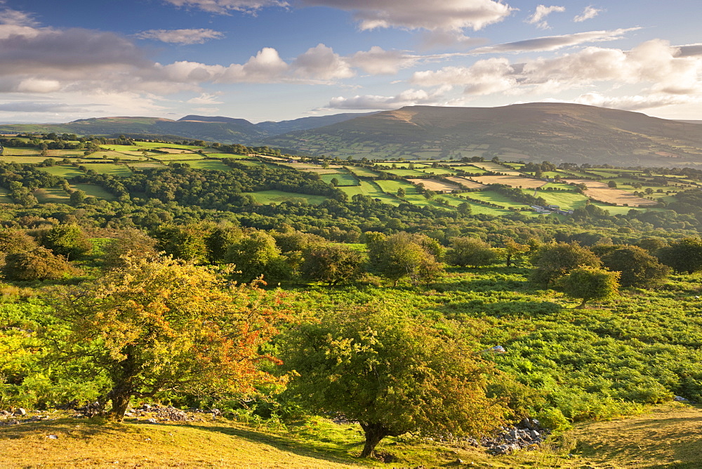 Moorland, rolling fields and Black Mountains of the Brecon Beacons, Powys, Wales, United Kingdom, Europe