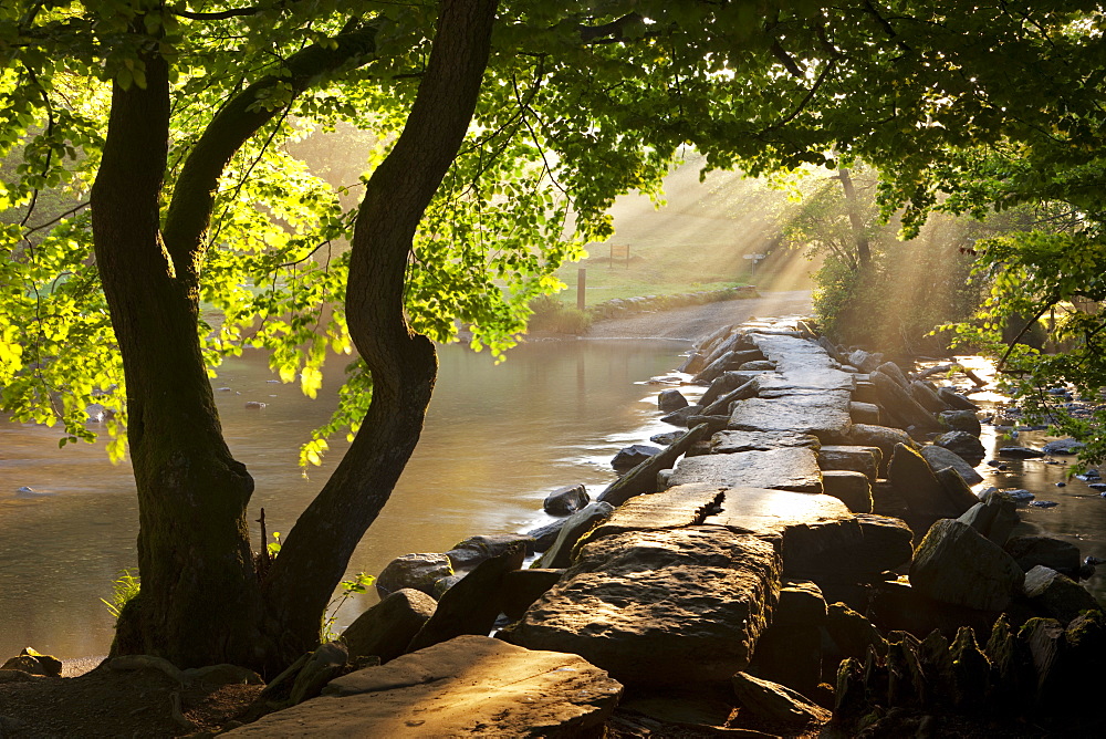 Misty summer morning by Tarr Steps clapper bridge, Exmoor National Park, Somerset, England, United Kingdom, Europe