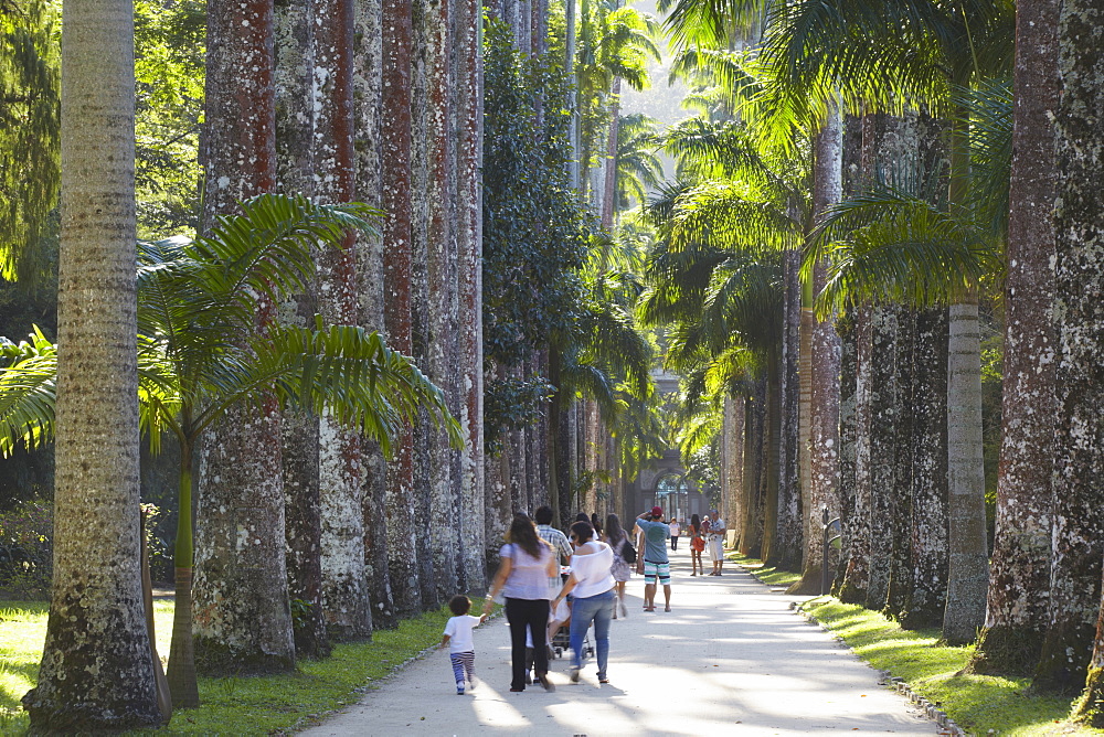 People at Botanical Gardens (Jardim Botanico), Rio de Janeiro, Brazil, South America 