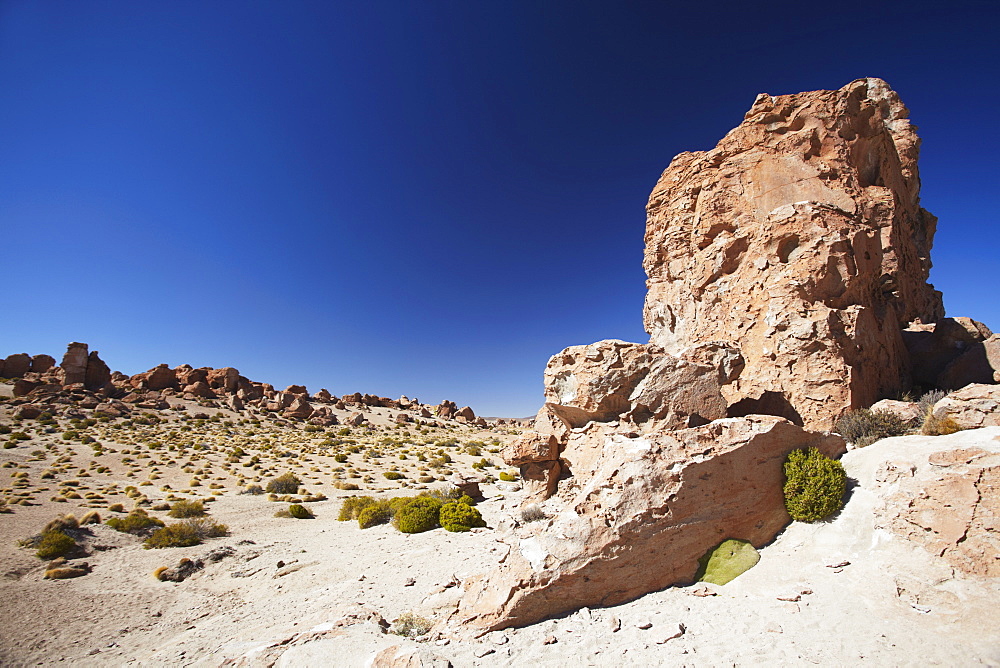 Rocky landscape on the Altiplano, Potosi Department, Bolivia, South America