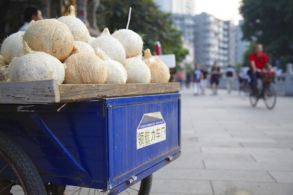 Coconut juice stall, Guangzhou, Guangdong, China, Asia