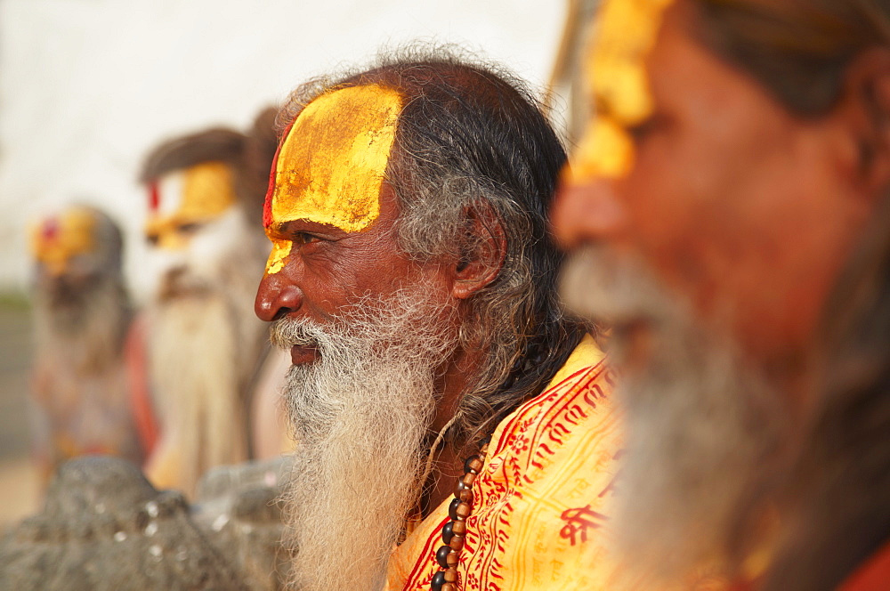 Sadhus (Holy men) at Pashupatinath Temple, Kathmandu, Nepal, Asia