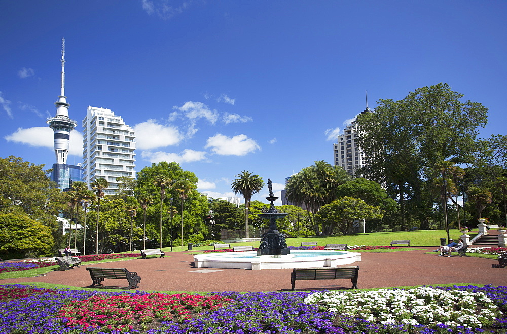 View of Sky Tower from Albert Park, Auckland, North Island, New Zealand, Pacific