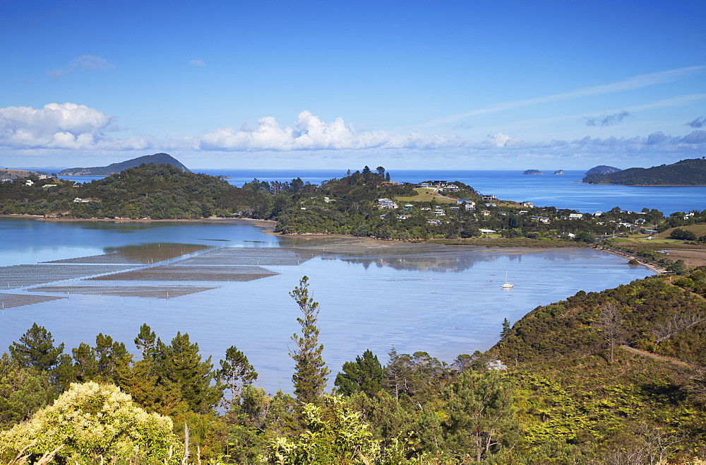 View of Coromandel Town harbour, Coromandel Peninsula, Waikato, North Island, New Zealand, Pacific