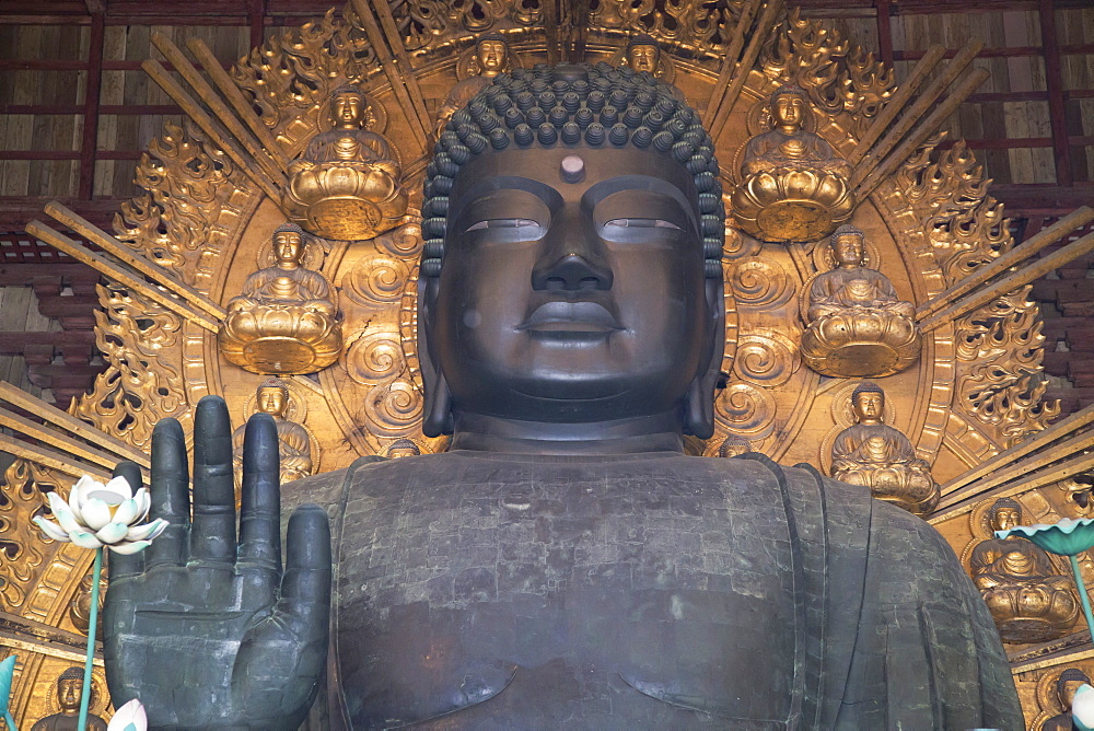 The Daibutsu (Great Buddha) inside Todaiji Temple, UNESCO World Heritage Site, Nara, Kansai, Japan, Asia