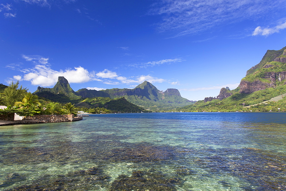 Cook's Bay, Moorea, Society Islands, French Polynesia, South Pacific, Pacific