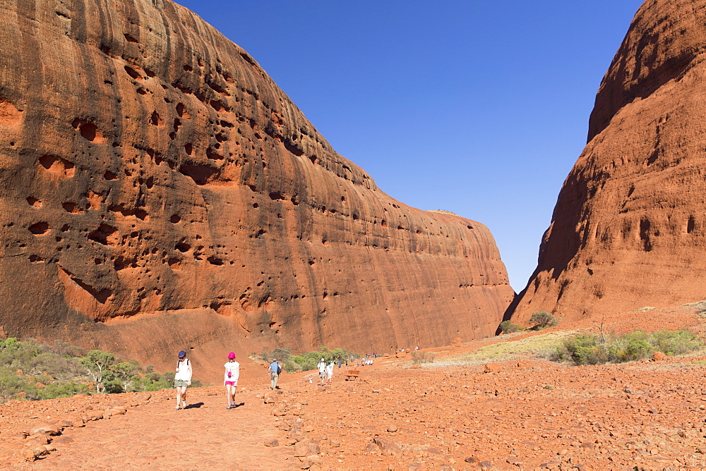 Tourists hiking at Walpa Gorge, Kata Tjuta (The Olgas), UNESCO World Heritage Site, Uluru-Kata Tjuta National Park, Northern Territory, Australia, Pacific