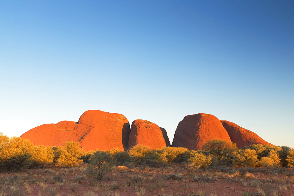 Kata Tjuta (The Olgas), UNESCO World Heritage Site, Uluru-Kata Tjuta National Park, Northern Territory, Australia, Pacific