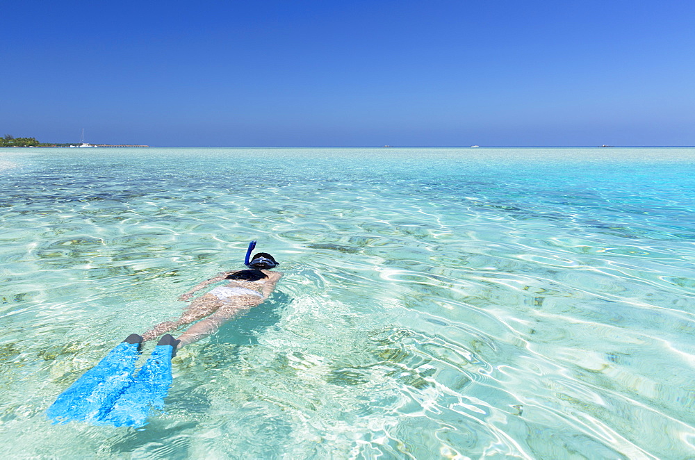 Woman snorkelling in lagoon, Rasdhoo Island, Northern Ari Atoll, Maldives, Indian Ocean, Asia