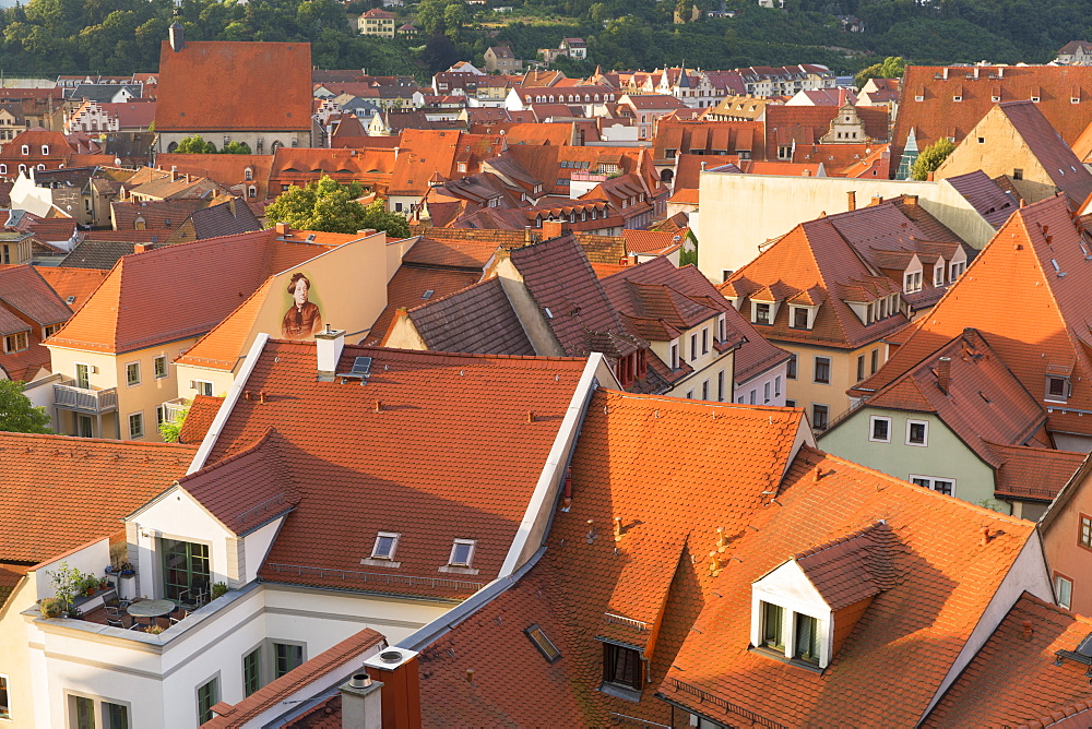 View of Meissen, Saxony, Germany, Europe