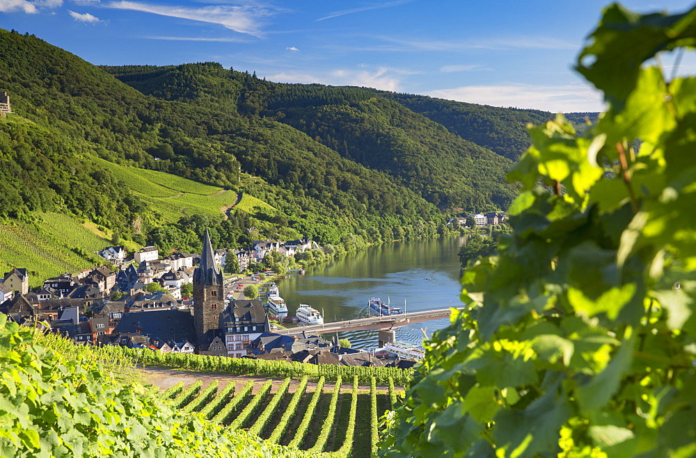 View of vineyards and River Moselle, Bernkastel-Kues, Rhineland-Palatinate, Germany, Europe