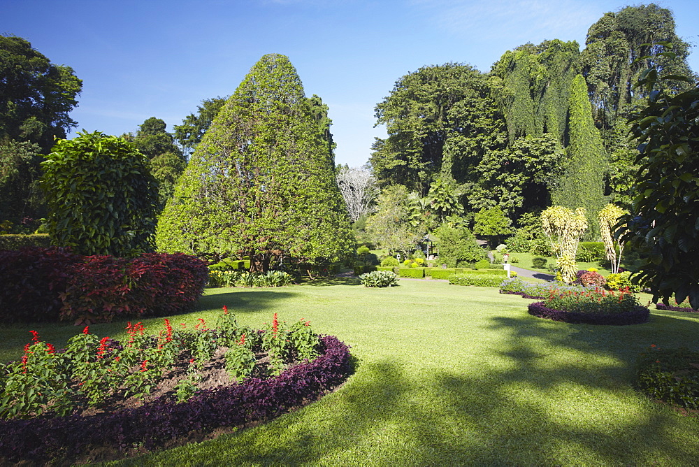 Peradeniya Botanic Gardens, Kandy, Sri Lanka, Asia