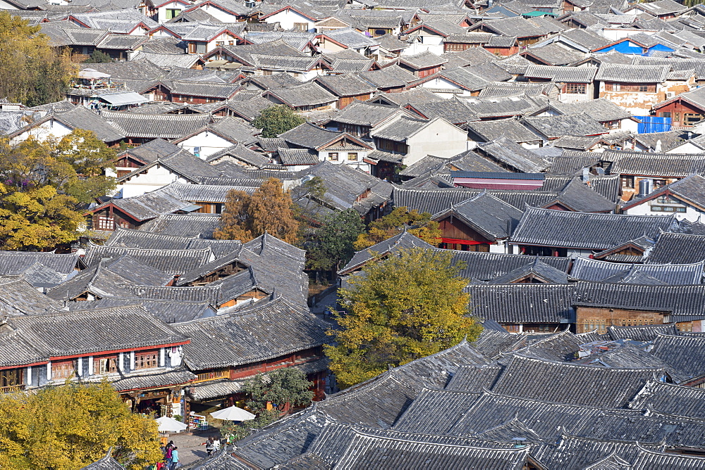 View of Lijiang, UNESCO World Heritage Site, Yunnan, China, Asia