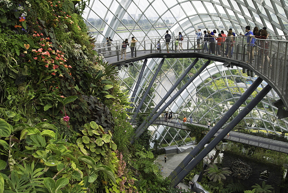 Cloud Forest greenhouse in Gardens by the Bay, Singapore, Southeast Asia, Asia