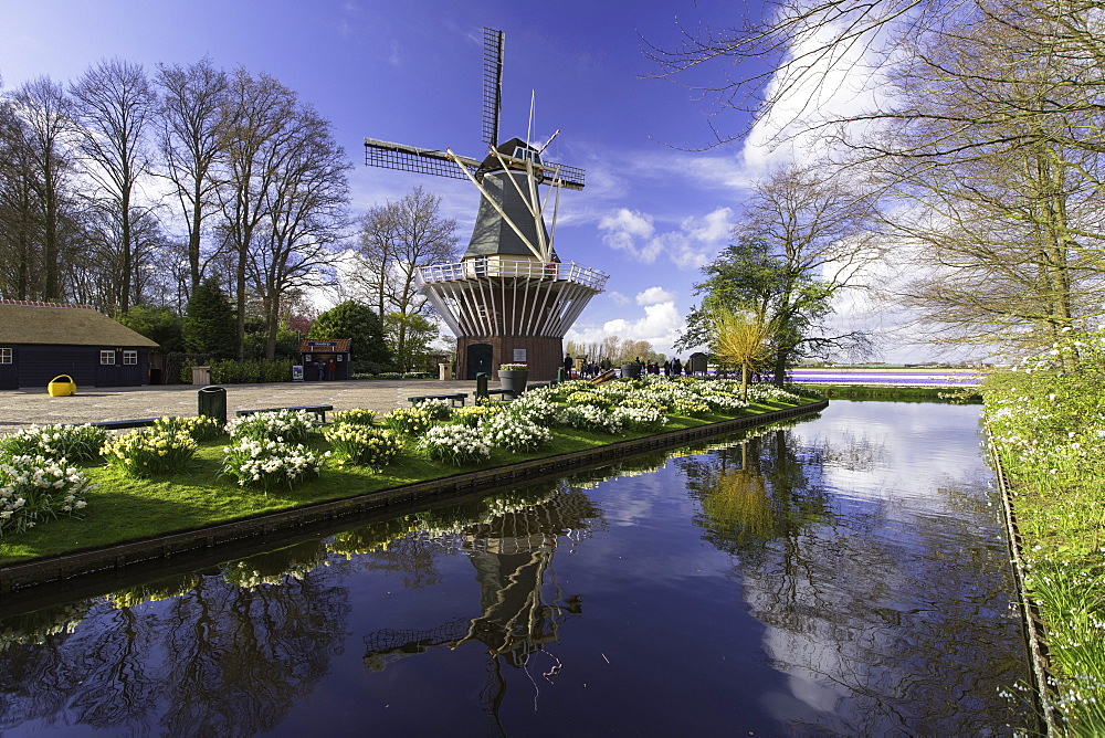 Windmill at Keukenhof Gardens, Lisse, Netherlands, Europe