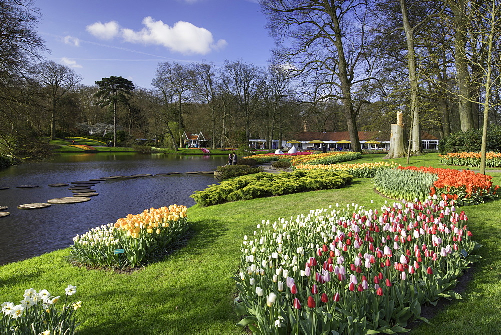 Tulips in Keukenhof Gardens, Lisse, Netherlands, Europe