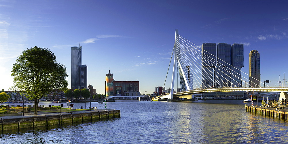 Erasmus Bridge (Erasmusbrug) and skyline, Rotterdam, Zuid Holland, Netherlands, Europe