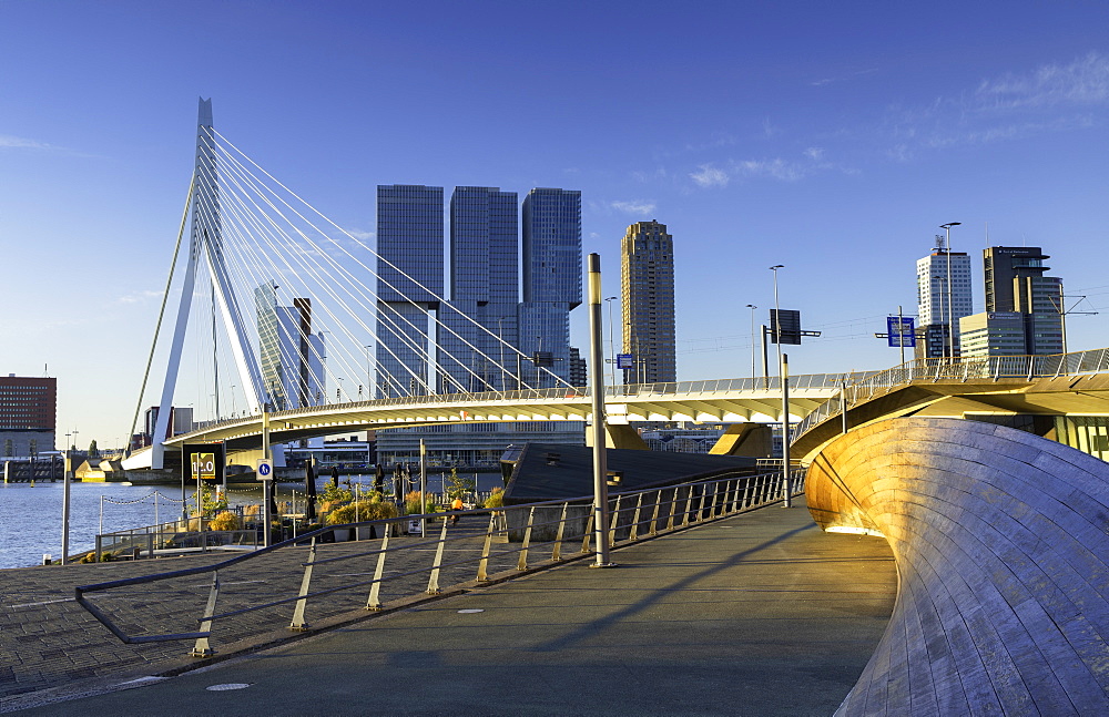 Erasmus Bridge (Erasmusbrug), Rotterdam, Zuid Holland, Netherlands, Europe