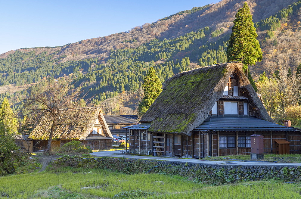 Traditional houses of Ainokura, UNESCO World Heritage Site, Gokayama, Toyama Prefecture, Honshu, Japan, Asia