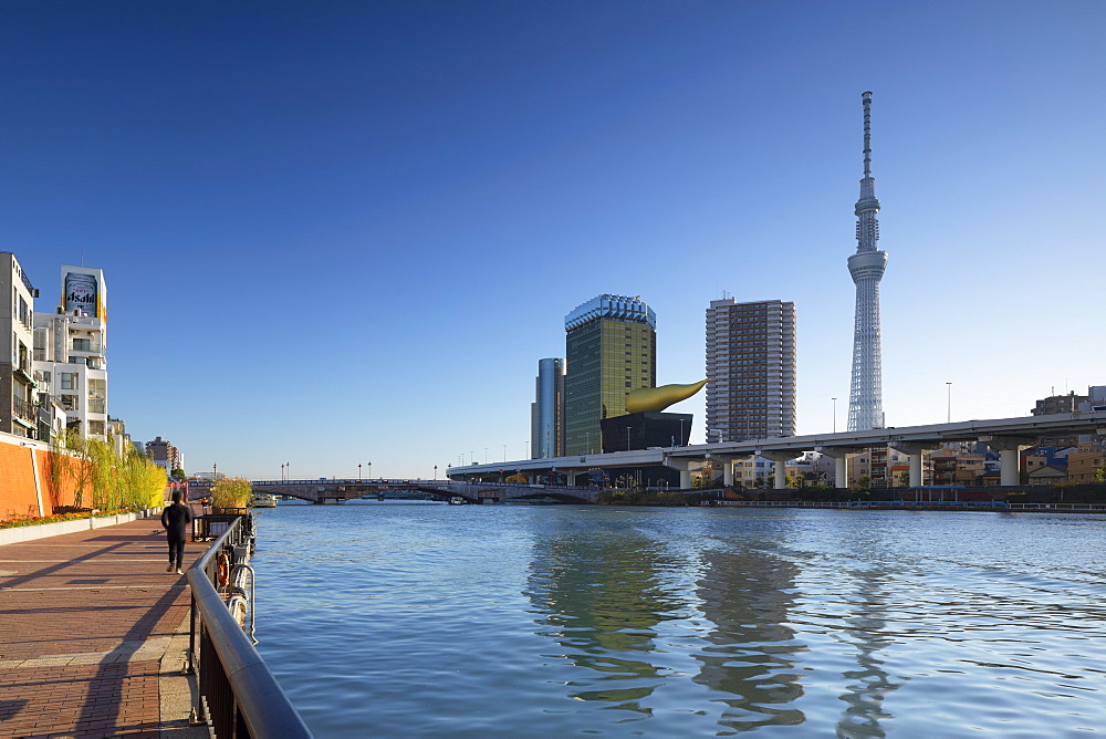 Skytree and Sumida River, Tokyo, Honshu, Japan, Asia