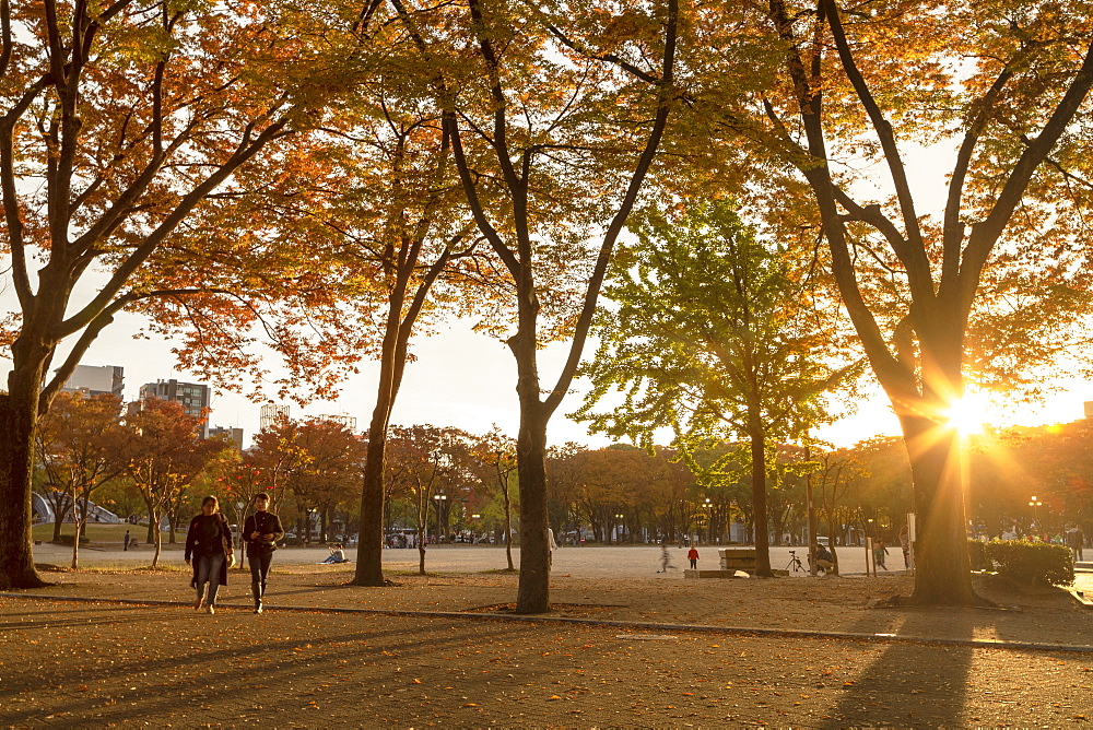 Autumn colours in Shirakawa Park, Nagoya, Honshu, Japan, Asia