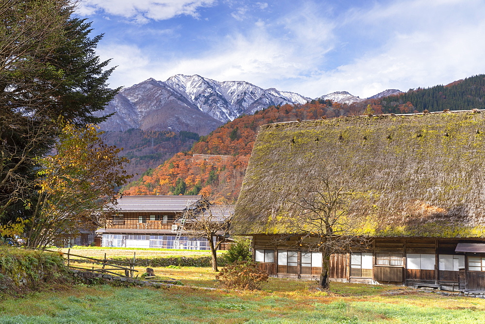 Traditional houses of Ogimachi, UNESCO World Heritage Site, Shirakawa-go, Toyama Prefecture, Honshu, Japan, Asia