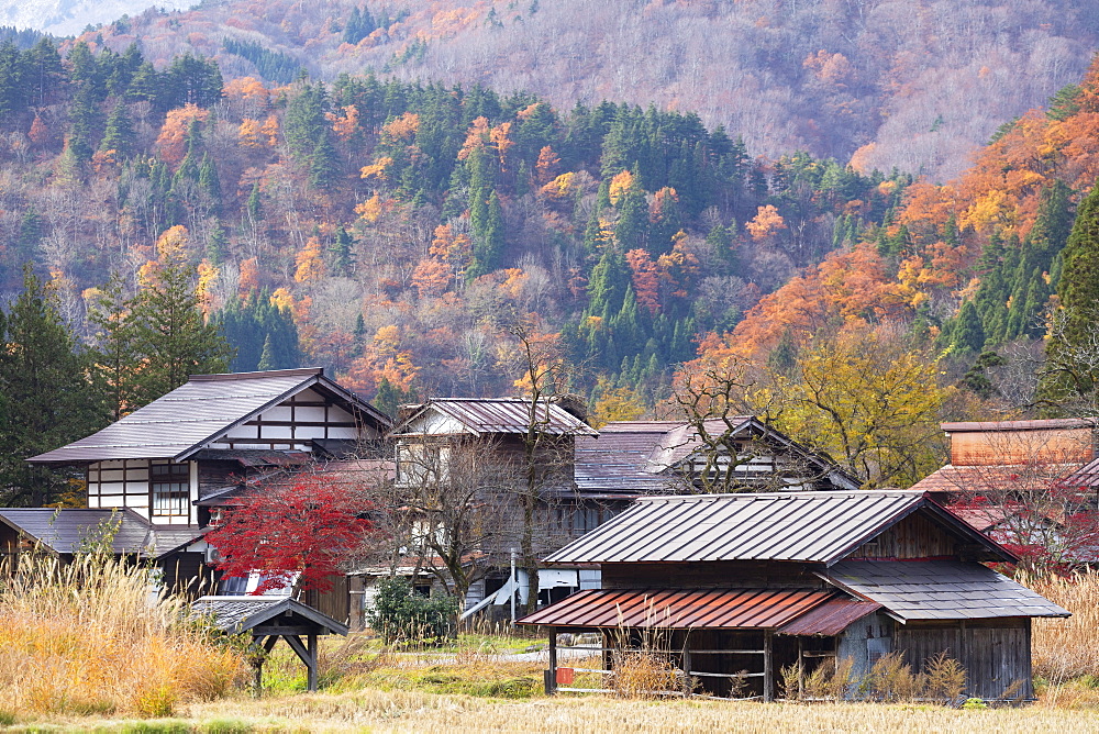 Traditional houses of Ogimachi, UNESCO World Heritage Site, Shirakawa-go, Toyama Prefecture, Honshu, Japan, Asia